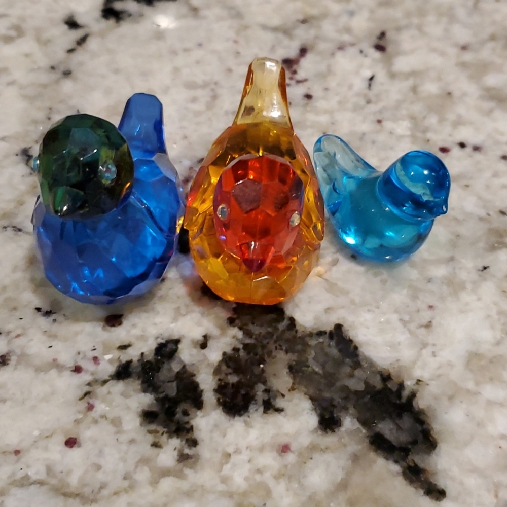 Bird family